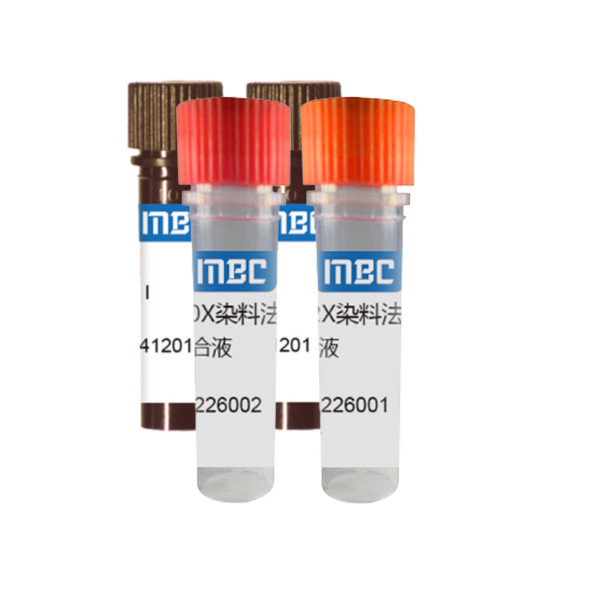 MBC 一管式染料法 SYBR RT-qPCR 试剂盒