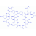 Brain Injury Derived Neurotrophic Peptide